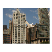 Downtown Chicago Postcards