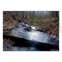 Downward Creek Cards