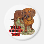 Doxi Lover Fridge Magnet