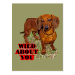 Doxi Lover Postcard