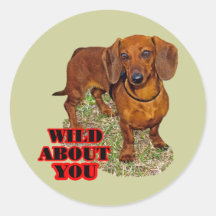Doxi Lover Stickers