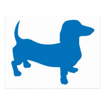 Doxie bleu, teckel carte postale