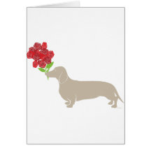 Doxie Delivers 12 Red Roses - Valentines Day!!!! Greeting Card