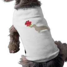 Doxie Delivers 12 Red Roses - Valentines Day!!!! Pet Clothes