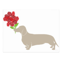 Doxie livre 12 roses rouges - jour de Valentines ! Carte Postale