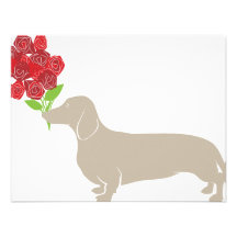 Doxie livre 12 roses rouges - jour de Valentines ! Bristols Personnalisés