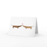 doxie love