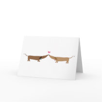 doxie love