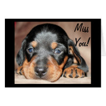 Doxie Pup Cards