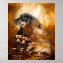 Doxies - Dappled In Sunshine Art Poster/Print