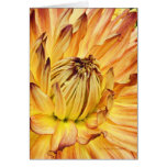 DPuget Sound Dahlia Association Show 2009 Card
