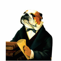 DR019 English Bulldog photo sculpture magnet