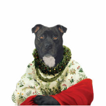 DR198 Staffordshire Bull Terrier female sculpture Photo Sculpture