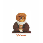 DR214Princess tishirt
