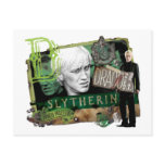 Draco Malfoy Collage 1 Post Cards