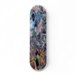 Draconis Skate Board