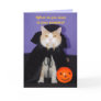 Dracula Kitty