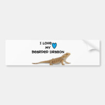 Dragon Bumper Sticker" I love my Dragon"