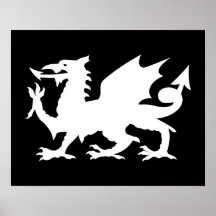 Dragon de Gallois Affiche