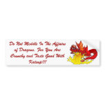 dragon, Do Not Meddle In The Affairs of Dragons... Bumper Stickers