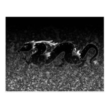 Dragon Dragon Black and White Postcards