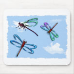 Dragon Flies in the Sky