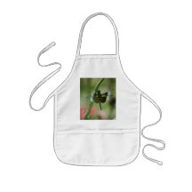 dragon fly apron