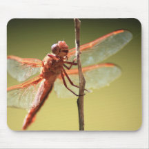 Dragon Fly Mousepads