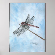 Dragon Fly Print