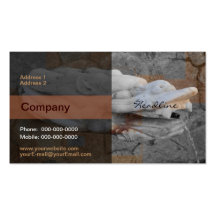 Dragon Fountain Business Card