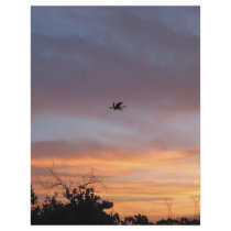 Dragon in the Sky Custom Flyer