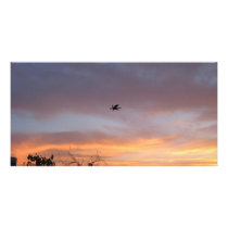 Dragon in the Sky Picture Card