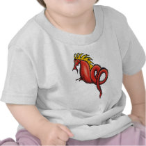 Dragon Magic 21 Shirts