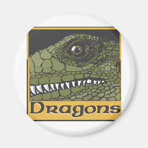 Dragon Magic 4 Fridge Magnets