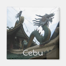 Dragon Magnets