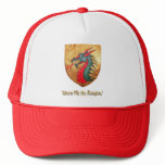 Dragon Shield hat