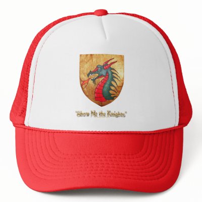 Dragon Shield hat by Linda_MN