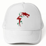 Dragon Shirt 49 hats