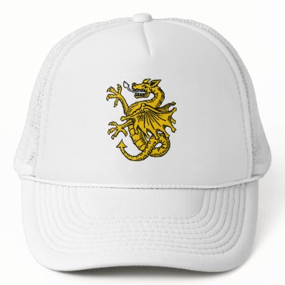 Dragon symbols and artwork mesh hat by Funkart