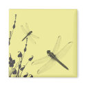 Dragonflies in the Grass magnets