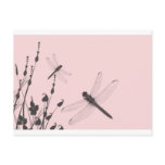 Dragonflies in the Grass Postcard