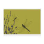 Dragonflies in the Grass Post Cards