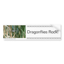 Dragonflies Rock! Bumper Stickers