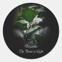Dragonflies-The Power of Light Round Stickers