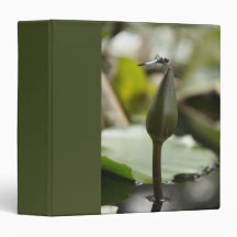 Dragonfly2 Binder