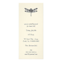 Dragonfly Announcement