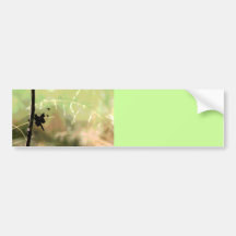 Dragonfly at Rest Bumper Sticker
