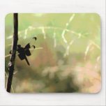 Dragonfly at Rest Mousepads