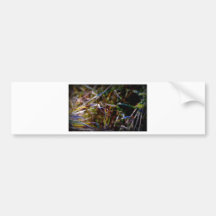 Dragonfly Bumper Sticker