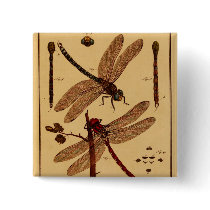 Dragonfly Pinback Buttons